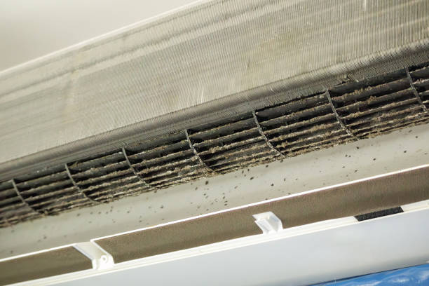 Best Dryer Vent Cleaning Services  in Aledo, IL