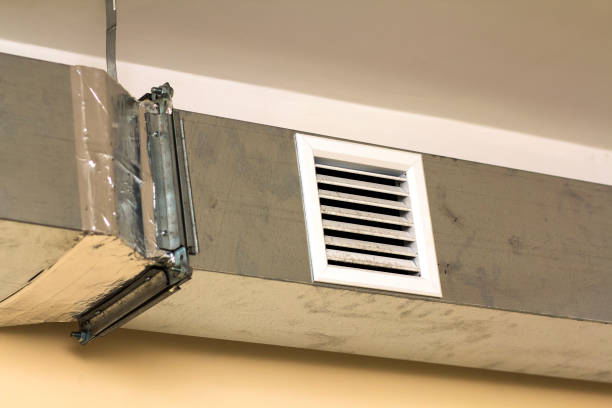 Air Duct Mold Removal in IL